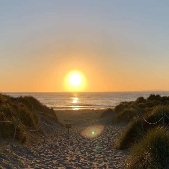 Meet your Posher, Jazzy - Picture 1 of 1